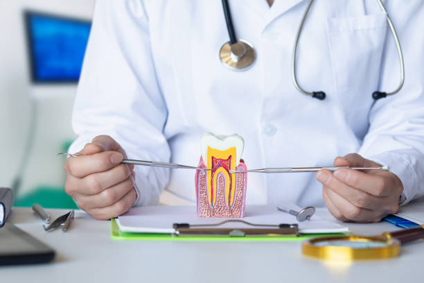 Best Emergency Root Canal Treatment in Grand Bay, AL